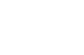 msd_pzagency